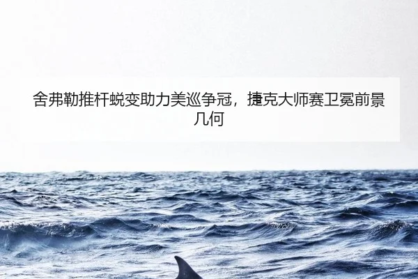 舍弗勒推杆蜕变助力美巡争冠，捷克大师赛卫冕前景几何