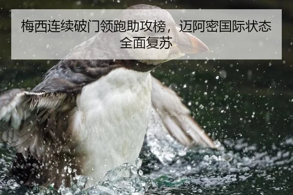 梅西连续破门领跑助攻榜，迈阿密国际状态全面复苏