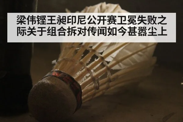 梁伟铿王昶印尼公开赛卫冕失败之际关于组合拆对传闻如今甚嚣尘上
