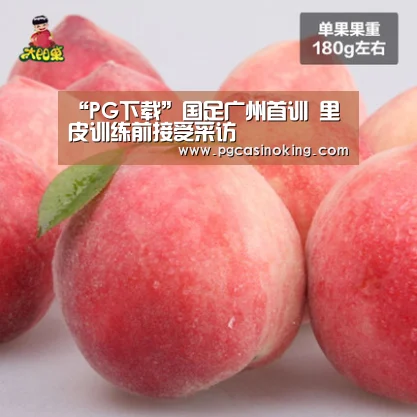 “PG下载”国足广州首训 里皮训练前接受采访(图3) PG电子